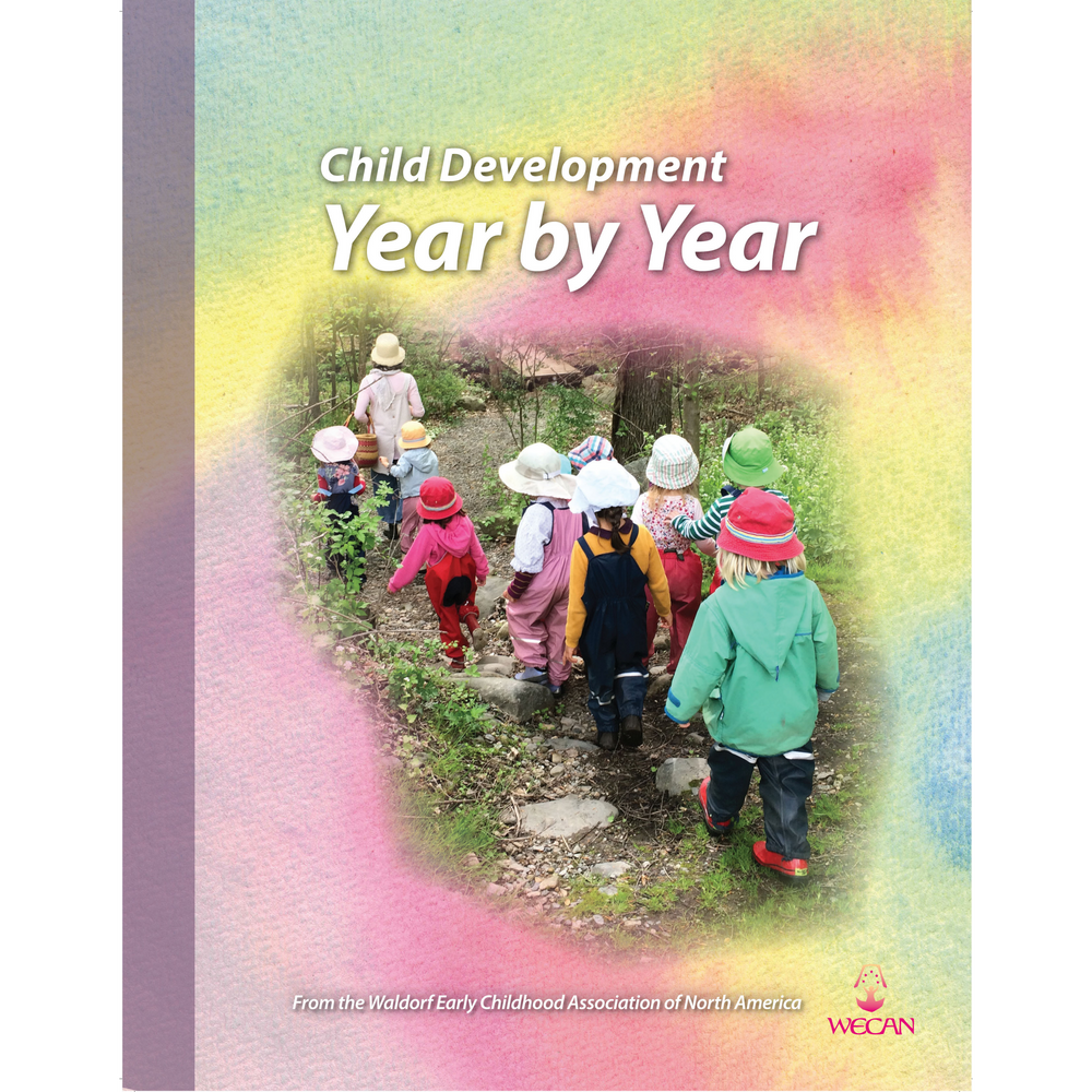 Child Development - Year by Year (Individual Copy)