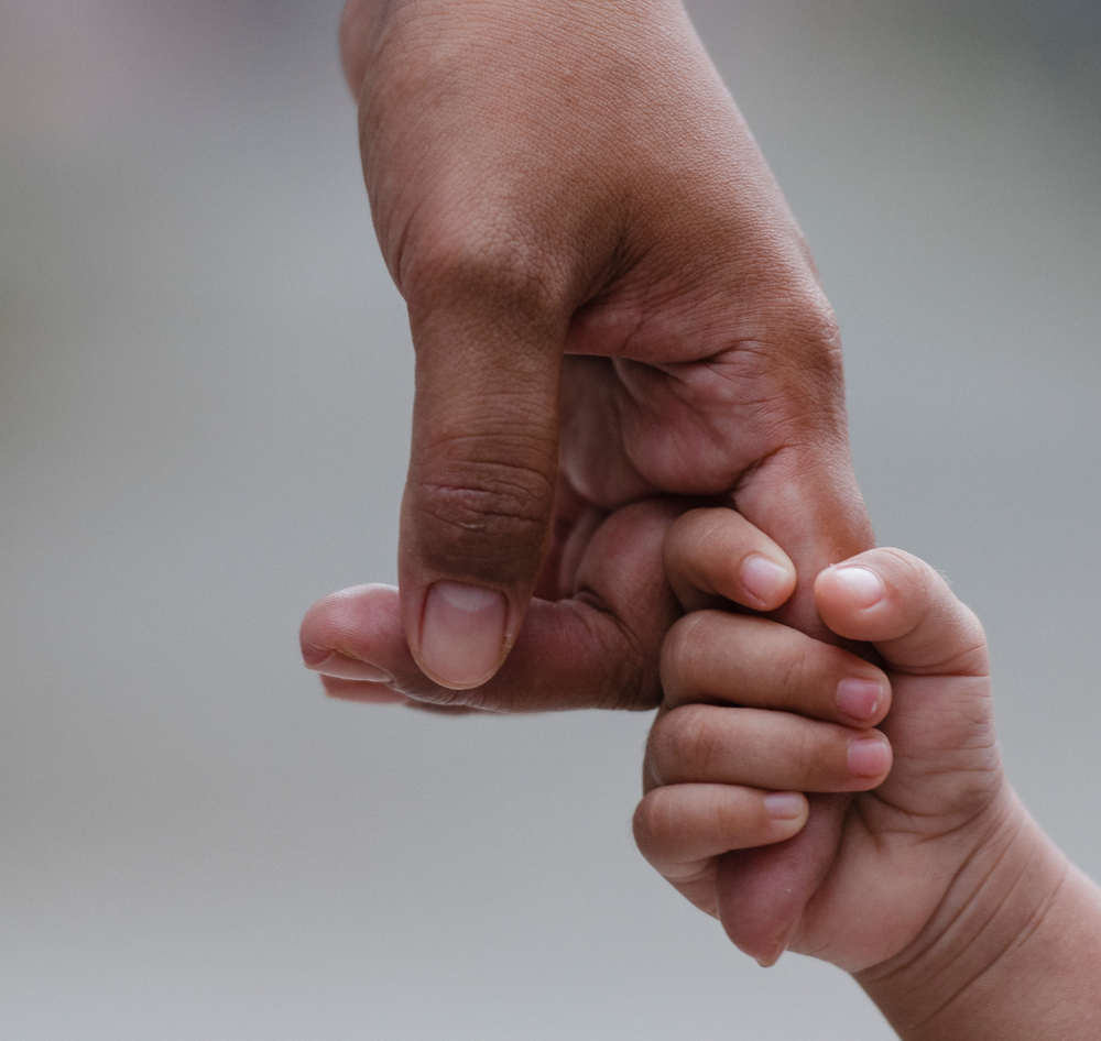 Growing Community Programs for Children and Those Who Care for Them - January 19, 2027