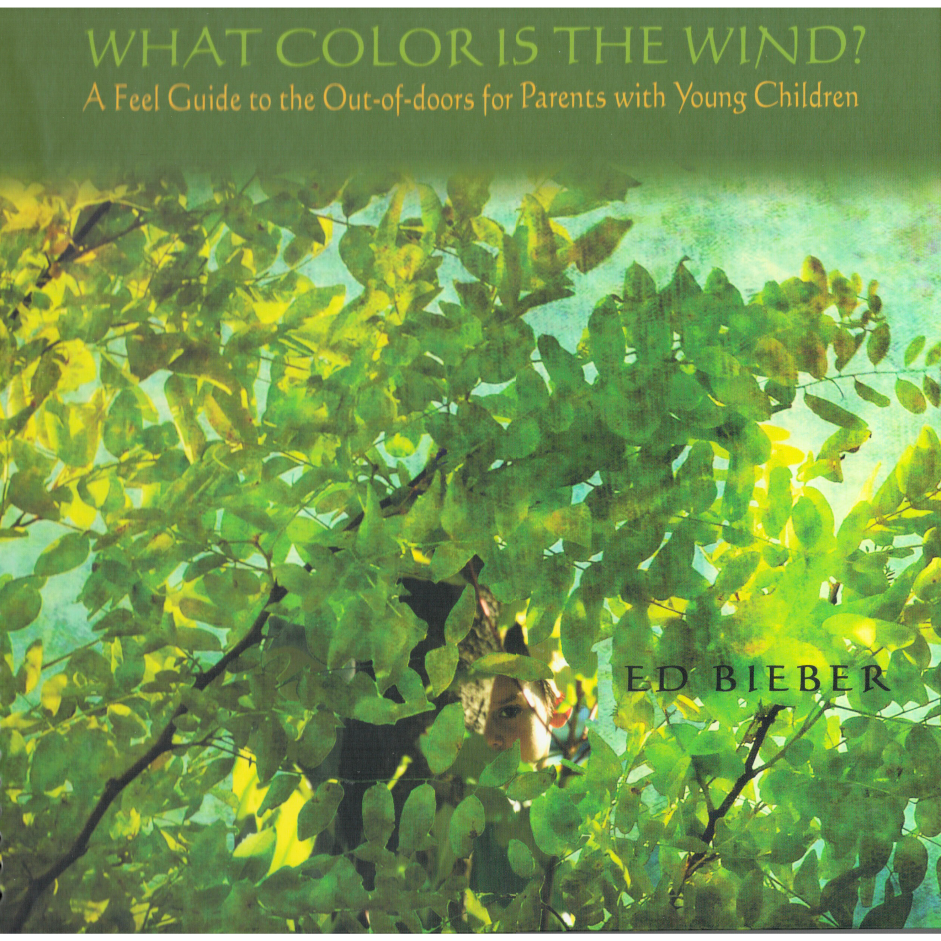 What Color Is the Wind?